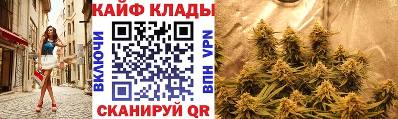 Как найти закладки Киреевск ГАШИШ  Псилоцибиновые грибы  А ПВП  блэк спрут tor  МАРИХУАНА  МЕФ 