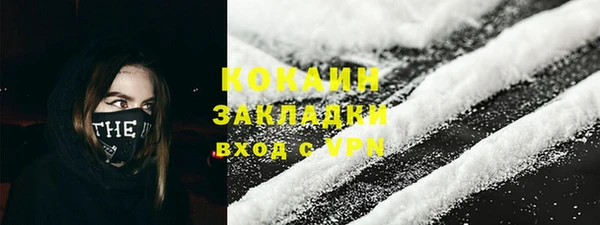 прущие грибы Белокуриха