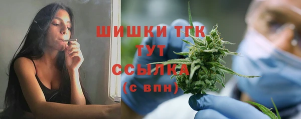 прущие грибы Белокуриха