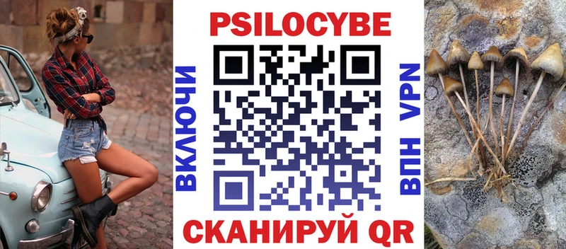 Галлюциногенные грибы MAGIC MUSHROOMS  где купить наркотик  Киреевск 
